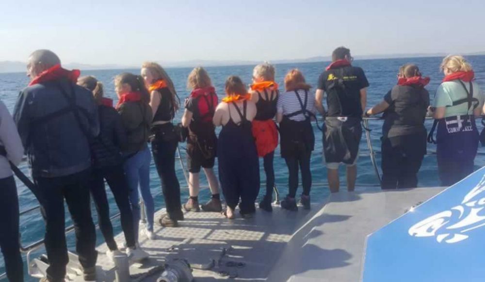 Whale watching adventure